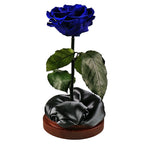 Enchanted Dome - Midnight Blue