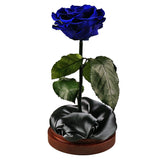 Enchanted Dome - Midnight Blue