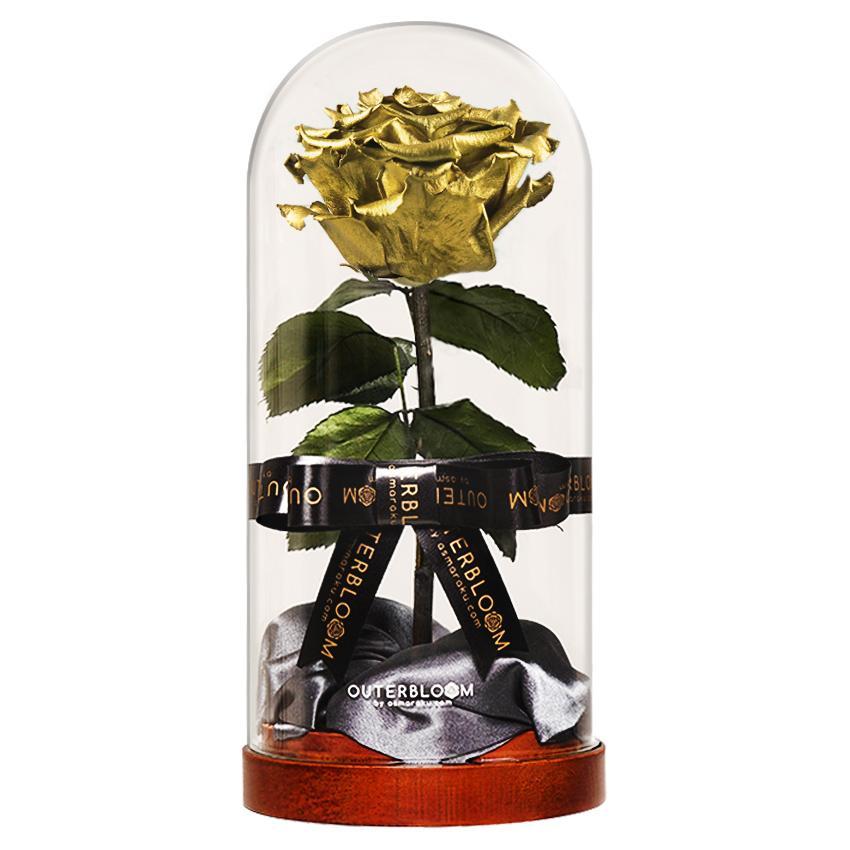 Enchanted Dome - Royal Gold