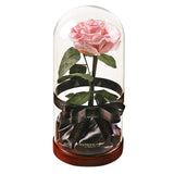 Enchanted Dome - Innocent Pink