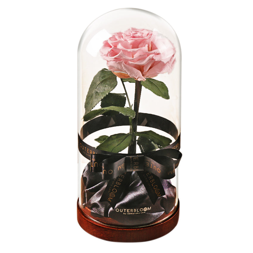 Enchanted Dome - Innocent Pink