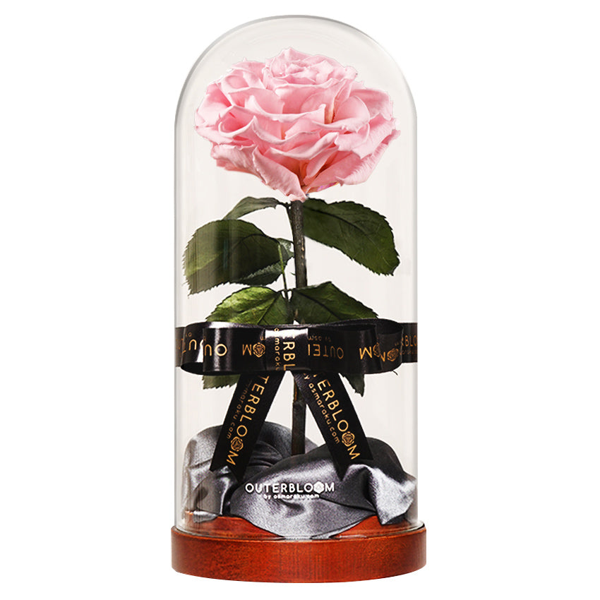 Enchanted Dome - Innocent Pink
