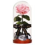 Enchanted Dome - Innocent Pink