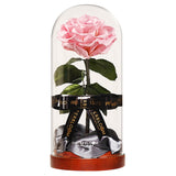 Enchanted Dome - Innocent Pink