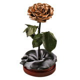 Enchanted Dome - Champagne Gold