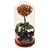 Enchanted Dome - Champagne Gold