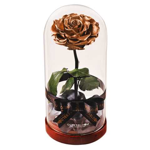 Enchanted Dome - Champagne Gold