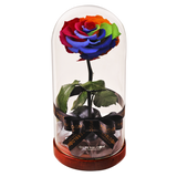 Enchanted Dome - Magic Rainbow