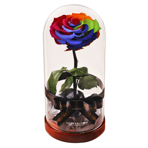 Enchanted Dome - Magic Rainbow