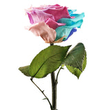 Enchanted Dome - Pastel Rainbow