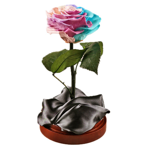 Enchanted Dome - Pastel Rainbow