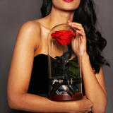 Enchanted Dome - Passionate Red