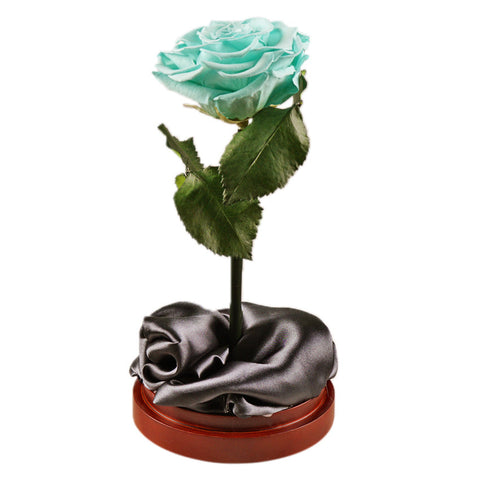 Enchanted Dome - Tiffany Blue