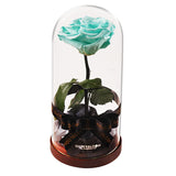 Enchanted Dome - Tiffany Blue