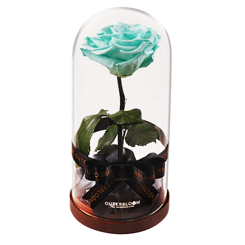 Enchanted Dome - Tiffany Blue