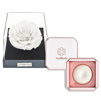 Outerbloom x Nestbloom The Classic Astoria NestBloom Gift Box - Angelic White