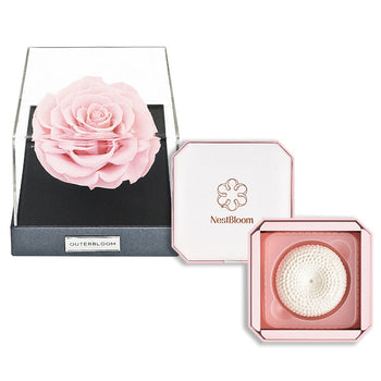 Outerbloom x Nestbloom The Classic Astoria NestBloom Gift Box - Innocent Pink