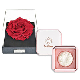 Outerbloom x Nestbloom The Classic Astoria NestBloom Gift Box- Passionate Red