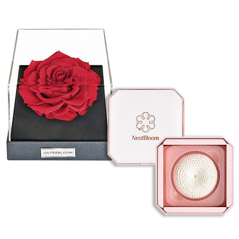 Jual Outerbloom x Nestbloom The Classic Astoria NestBloom Gift Box ...