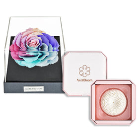 Outerbloom x Nestbloom The Classic Astoria NestBloom Gift Box - Rainbow Pastel