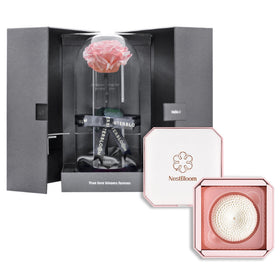 Outerbloom x Nestbloom The Classic Enchanted NestBloom Gift Box - Innocent Pink