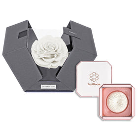 Outerbloom x Nestbloom The Novo Astoria NestBloom Gift Box - Angelic White