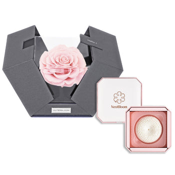 Outerbloom x Nestbloom The Novo Astoria NestBloom Gift Box - Innocent Pink