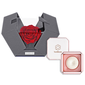 Outerbloom x Nestbloom The Novo Astoria NestBloom Gift Box - Passionate Red