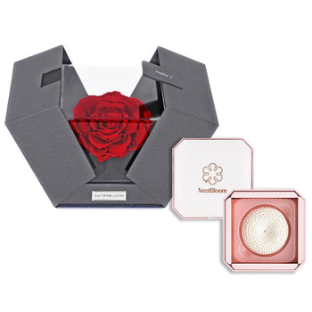 Outerbloom x Nestbloom The Novo Astoria NestBloom Gift Box - Passionate Red