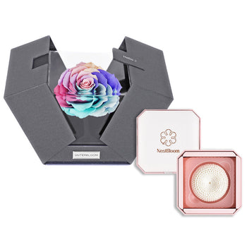 Outerbloom x Nestbloom The Novo Astoria NestBloom Gift Box - Rainbow Pastel