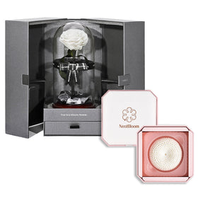 Outerbloom x Nestbloom The Novo Enchanted NestBloom Gift Box - Angelic White