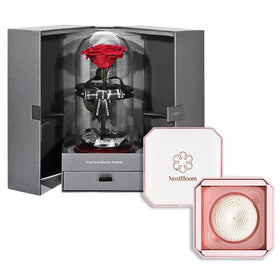 Outerbloom x Nestbloom The Novo Enchanted NestBloom Gift Box - Passionate Red