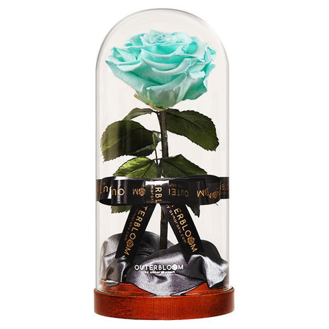 Enchanted Dome - Tiffany Blue