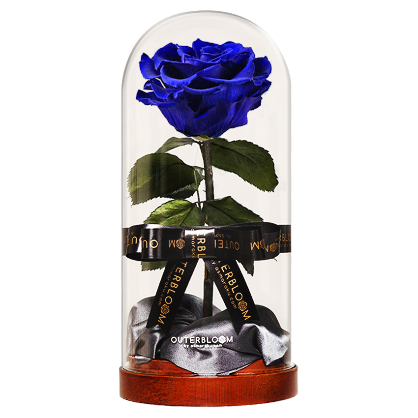 Enchanted Dome - Midnight Blue