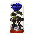Enchanted Dome - Midnight Blue